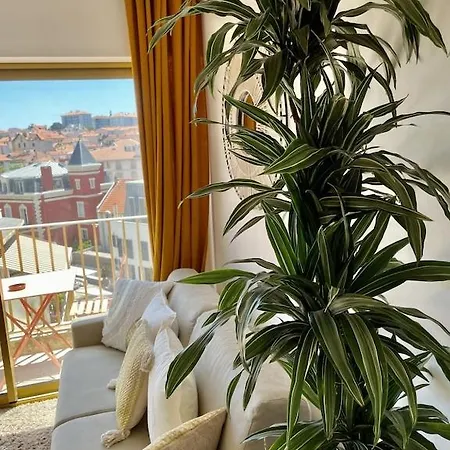 Superb Floor Studio, Center. Apartment