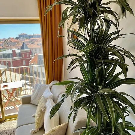 Superb Floor Studio, Center. Appartement