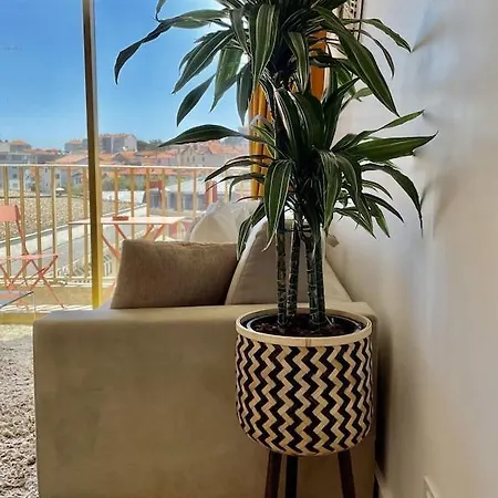 Superb Floor Studio, Center. Μπιαρίτζ