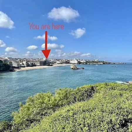 Superb Floor Studio, Center. Διαμέρισμα *