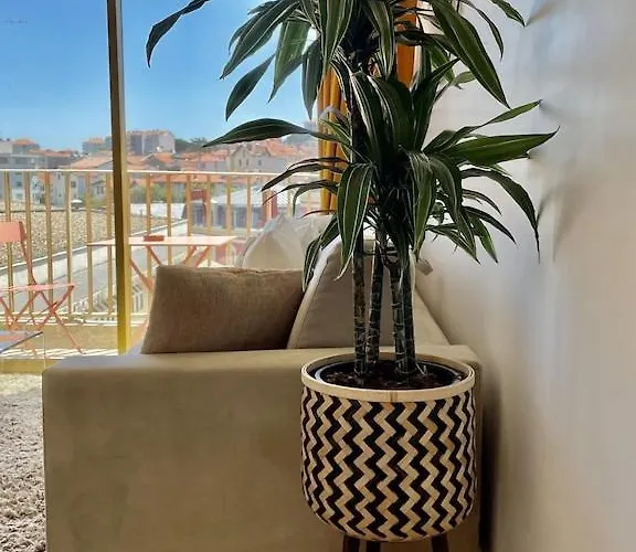 Superb Floor Studio, Center. Μπιαρίτζ