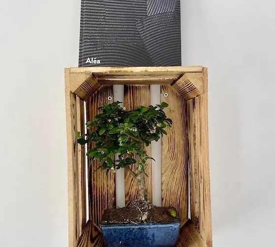 Superb Floor Studio, Center. Διαμέρισμα